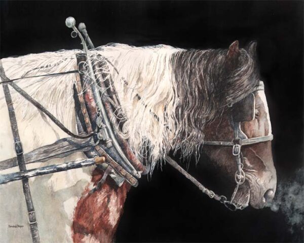 Sandra Roper, Portrait of a Work Horse, Watercolor