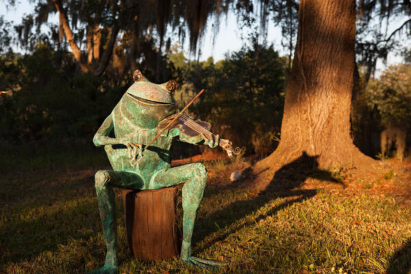 Zan Smith, Fiddle Frog