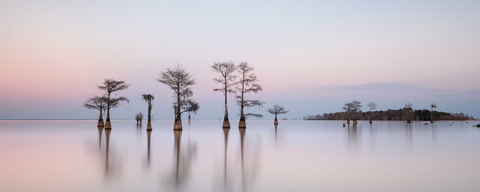 Ivo Kerssemakers, Winter Cypress V, Limited Edition, up to 72x40